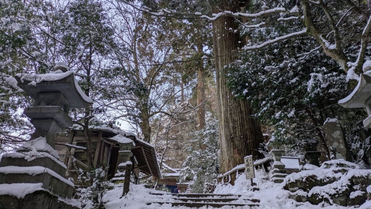 寄付させて頂きました