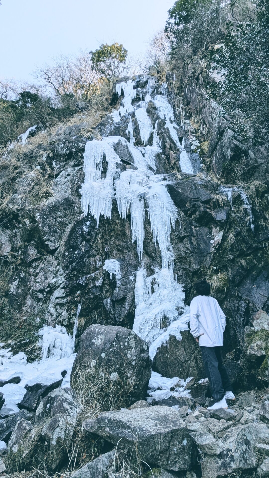 ヘアカラーからヘナに切り替える時、ヘナからヘアカラーに切り替える時