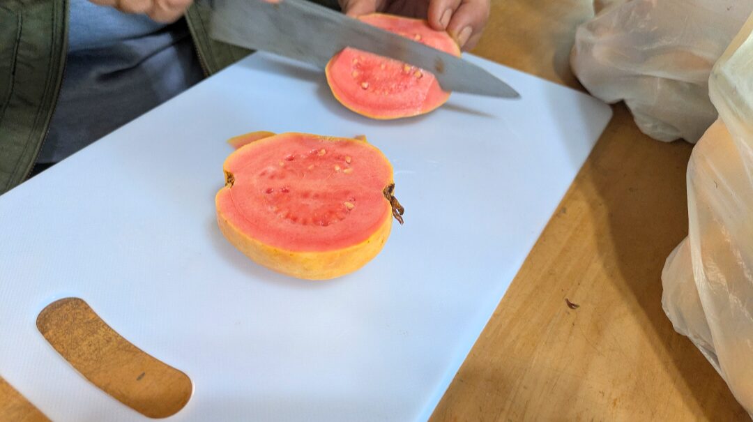 一度湯シャンにしたけど、慣れなくてクレイシャンプー使ってます。湯シャンにもどしたい