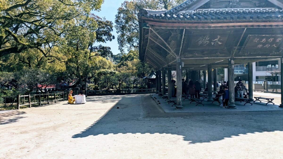 歳を重ねて髪が減るのが怖いです。どうしたらいいですか？ヘナ？湯シャン？