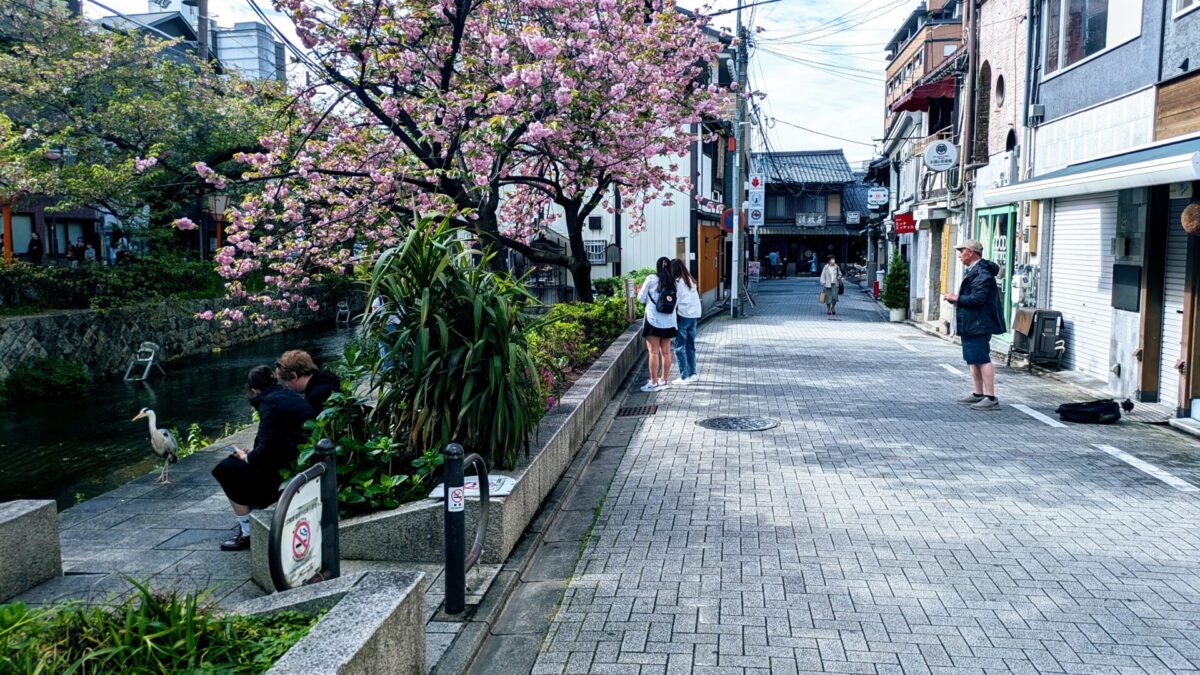 髪の痛みが酷くなればなるほど、素人やとストレート(髪質改善)かけたい！縮毛かけたい！となる。だけど、結局痛む。ほんとに綺麗になりたいにはどうすんの？切ったらいいの？トリートメントすればいいの？伸ばしくても痛みが目立つし、それを隠すためにアイロンするし、でもドライヤーしたら、犬みたいな毛だし。ヘナ？湯シャン？